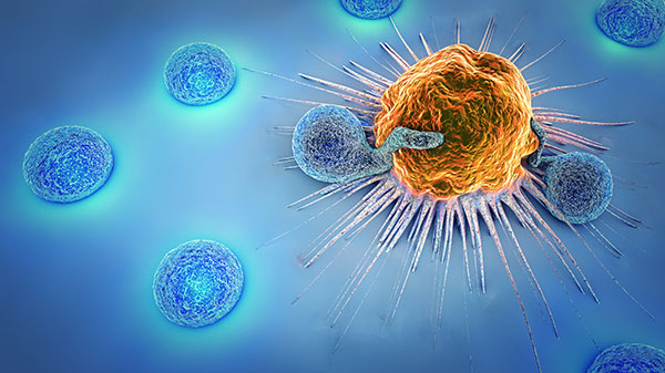 Hématologie