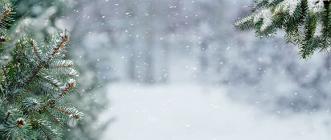 Image d'illustration - paysage hivernal