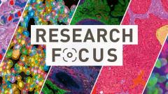 header_focus_recherche_EN