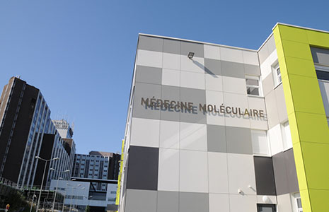 médecine moléculaire