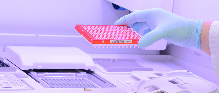 Image d'illustration Image d'illustration