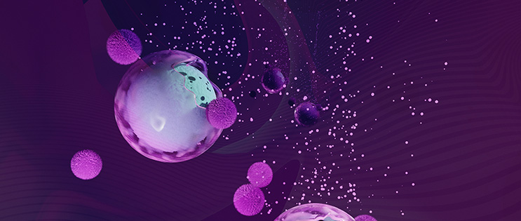 cellules cancéreuses et immunothérapie