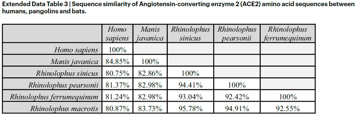 pangolins, hôtes intermédiaires