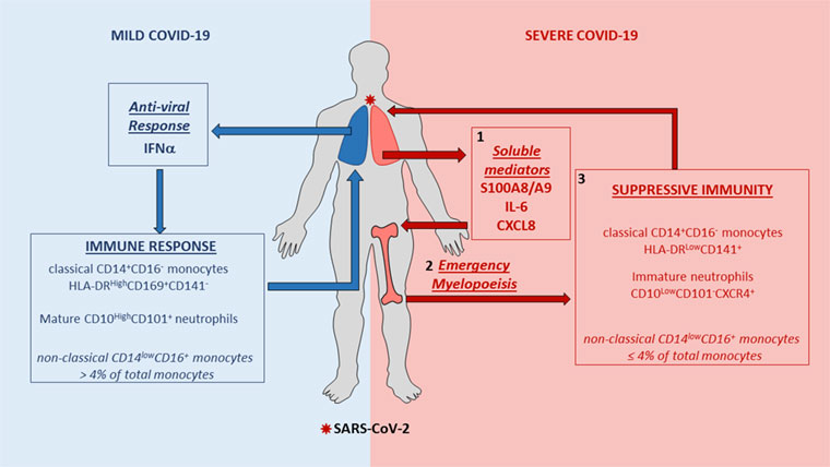 cp-cell-covid-19-06082020.jpg