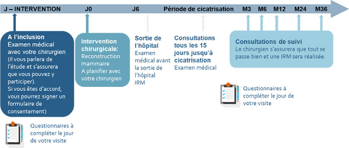 calendrier de l’étude 