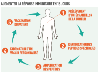 Augmenter la réponse immunitaire