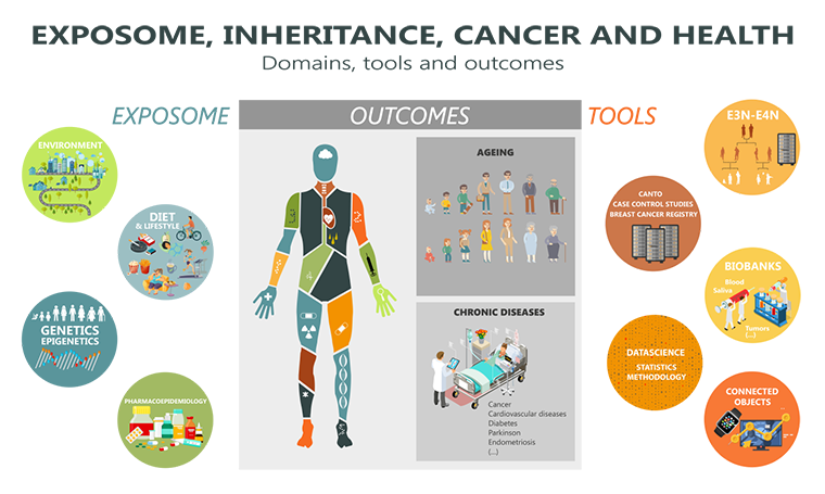 Exposome and Inheritance