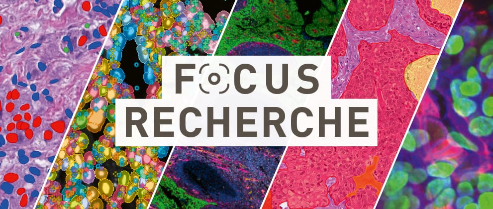header_focus_recherche_fr