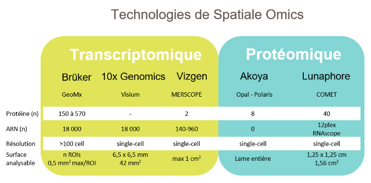Infographie - Technologies de Spatiale Omics 