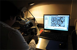 Microscopie - Equipement