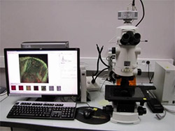 Microscopie - Equipement