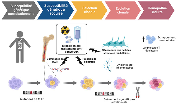 Pathogenèse des hémopathies induites