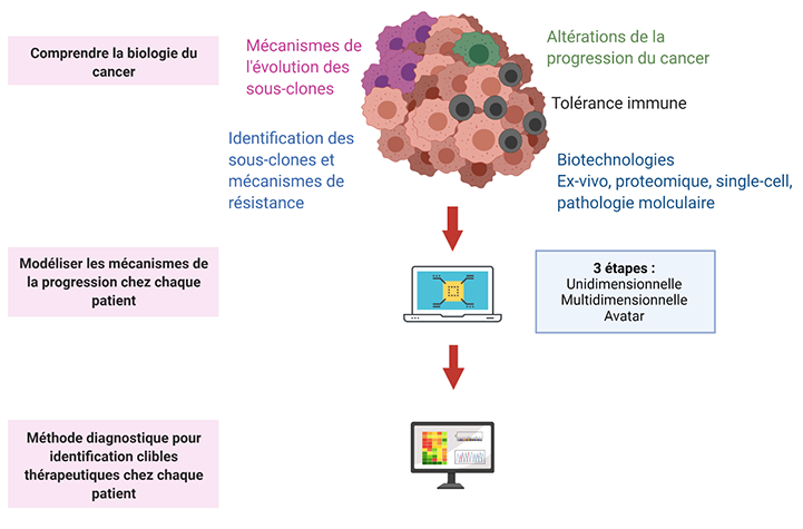 Schéma modélisation du cancer