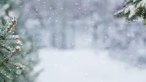 Image d'illustration - paysage hivernal