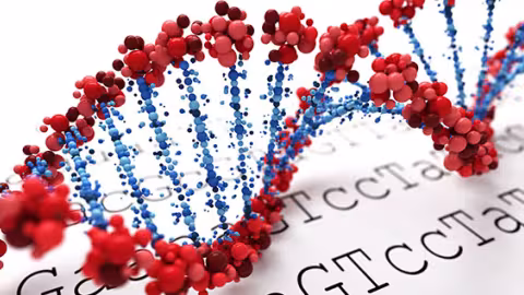 big data - DNA