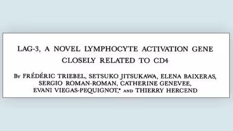 Titre de la publication