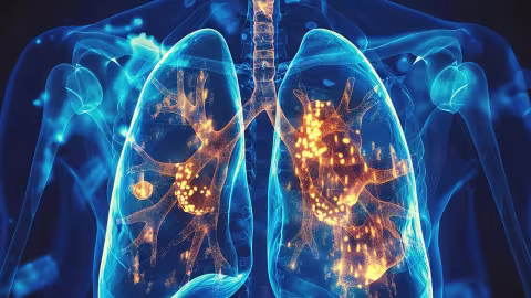 Illstration cage thoracique