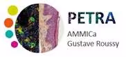 Logo PETRA AMMICa Gustave Roussy