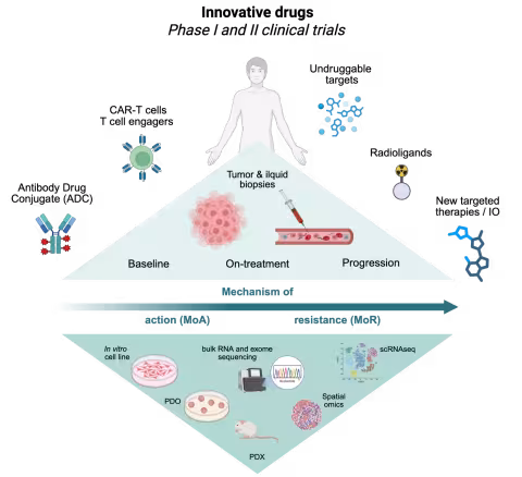 Innovative drugs - Phase I and II clinical trials