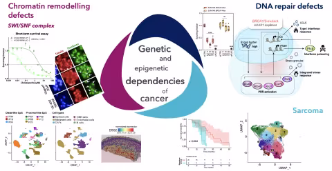 Genetic and Epigenetic dependencies of cancer