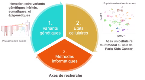 Axes de recherche : 1. Variants génétiques 2. Etats cellulaires 3. Méthodes informatiques 