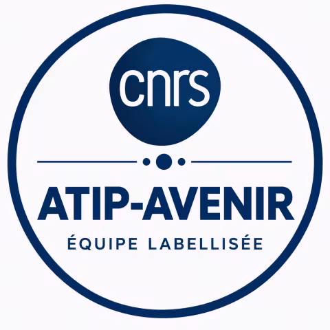 Logo ATIP-Avenir CNRS
