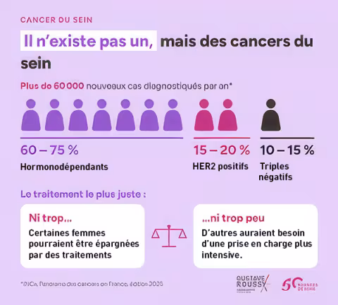 Infographie Il n’existe pas un, mais des cancers du sein. + de 60 000 nouveaux cas chaque année en France. Trois catégories : • cancers du sein hormonodépendants : 60 et 75 %. • cancers du sein HER2 positifs : 15 - 20 % .• Les cancers du sein triples négatifs: 10 - 15 %. Le traitement le plus juste. Deux risques sont illustrés : • « Ni trop » : certaines femmes pourraient être épargnées par des traitements lourds. • « Ni trop peu » : d’autres femmes aurraient besoin d’une prise en charge plus intensive