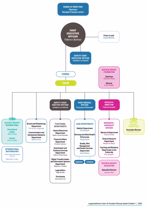 Infographic - flowchart
