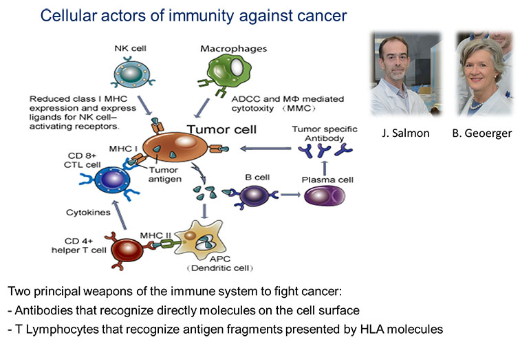 Immunologie anti-tumorale 