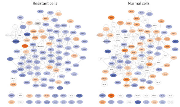 Comparison of proteomic profiles assocaited with  FKBP7 between resitant and sensitive cells (Garrido et al. CCR 2019)