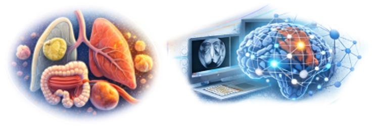 image d'illsutration